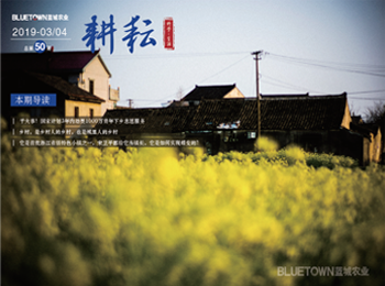 至尊国际 – 至尊服务,至尊享受