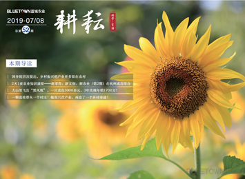 至尊国际 – 至尊服务,至尊享受