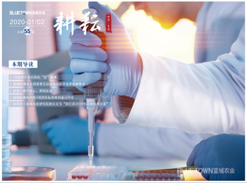 至尊国际 – 至尊服务,至尊享受