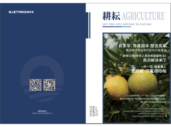 至尊国际 – 至尊服务,至尊享受