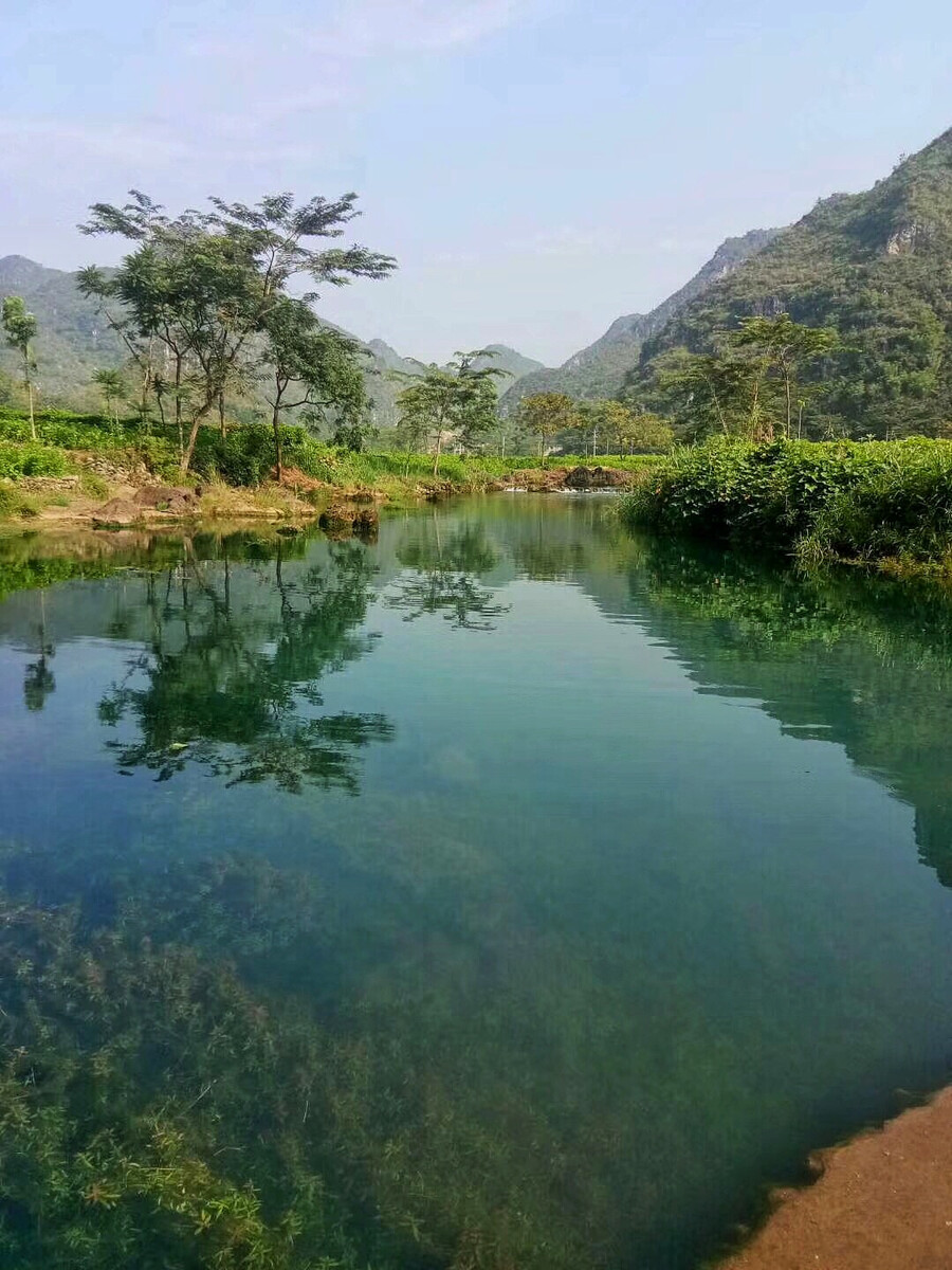 20231026155549653a1b855a81a