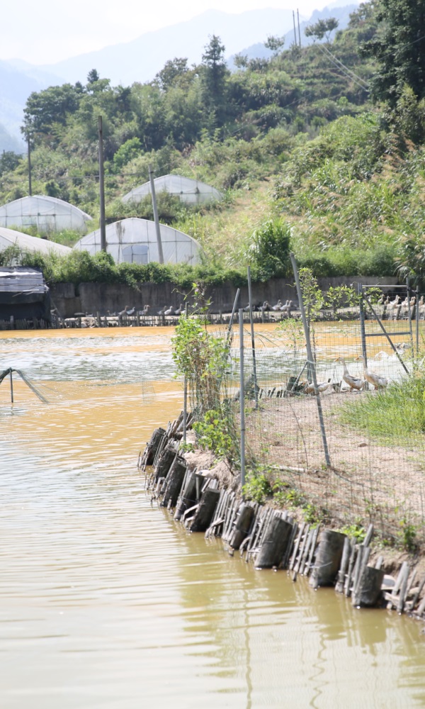 20231026155624653a1ba8bec40